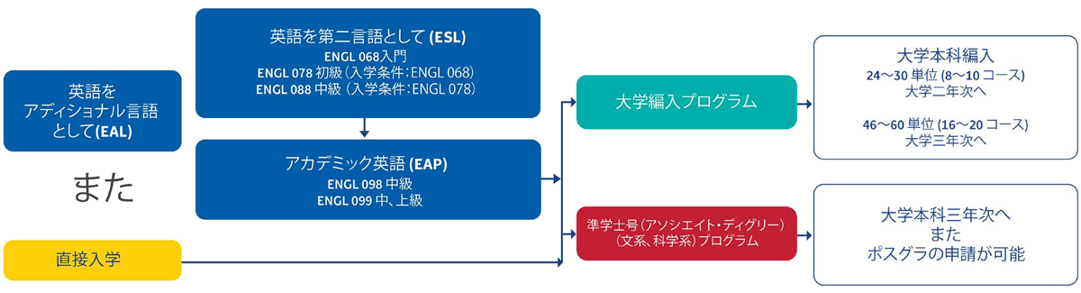 短大レベルの科目を履修可能