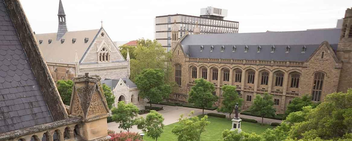 アデレード大学
