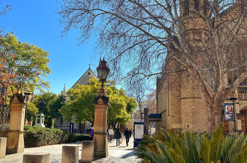 University of Adelaide（Kaplan）