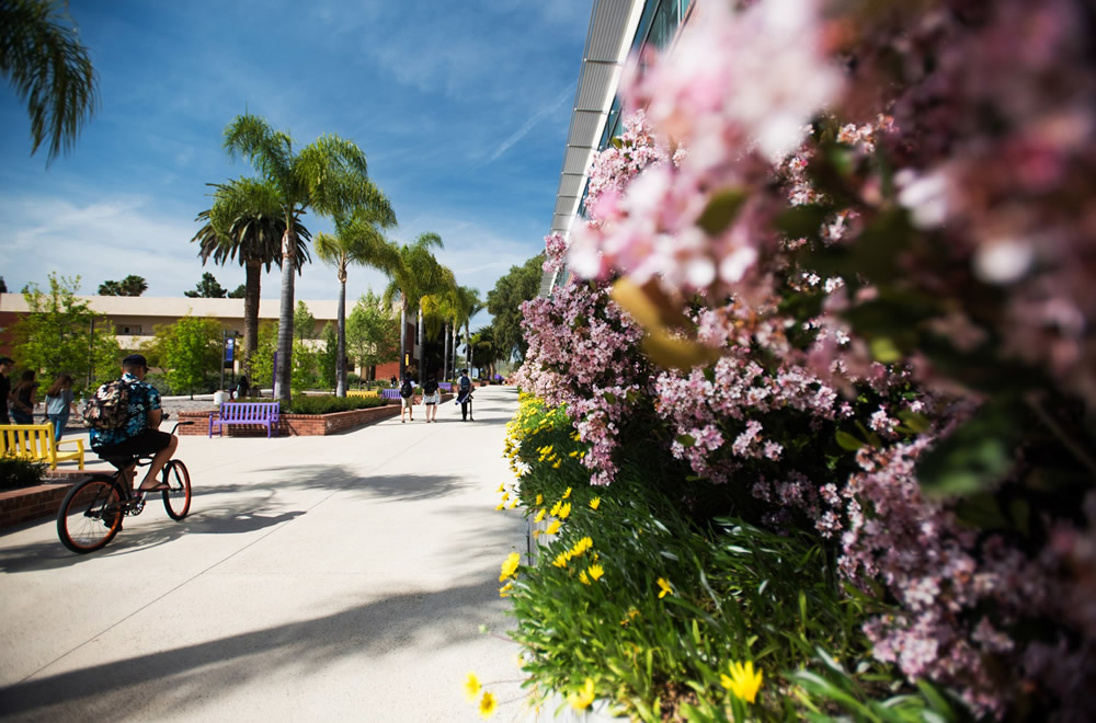 California Lutheran University