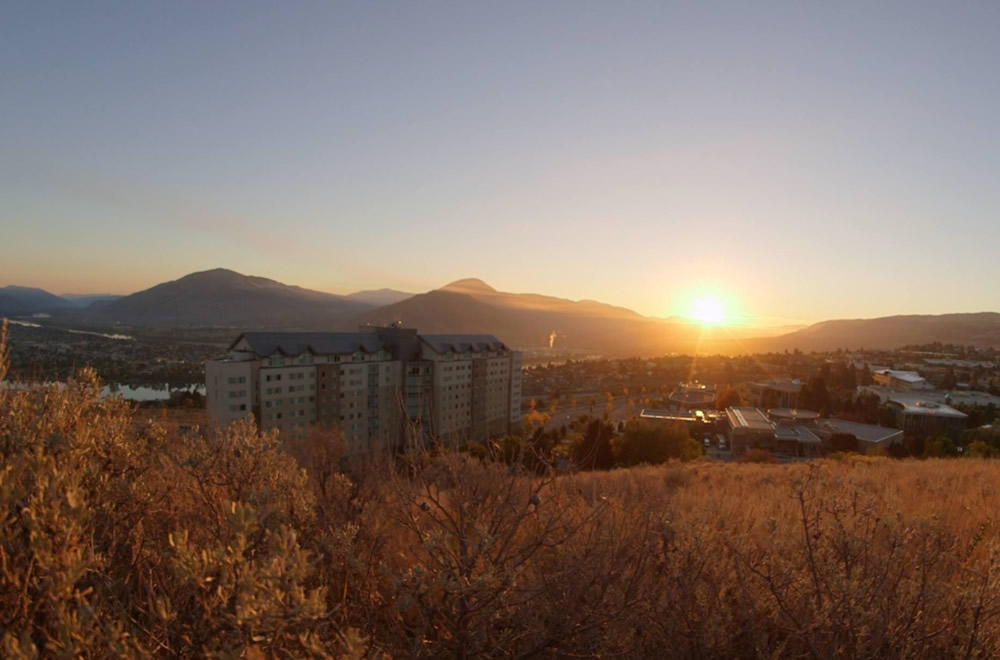 夕日