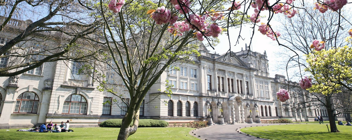 カーディフ大学