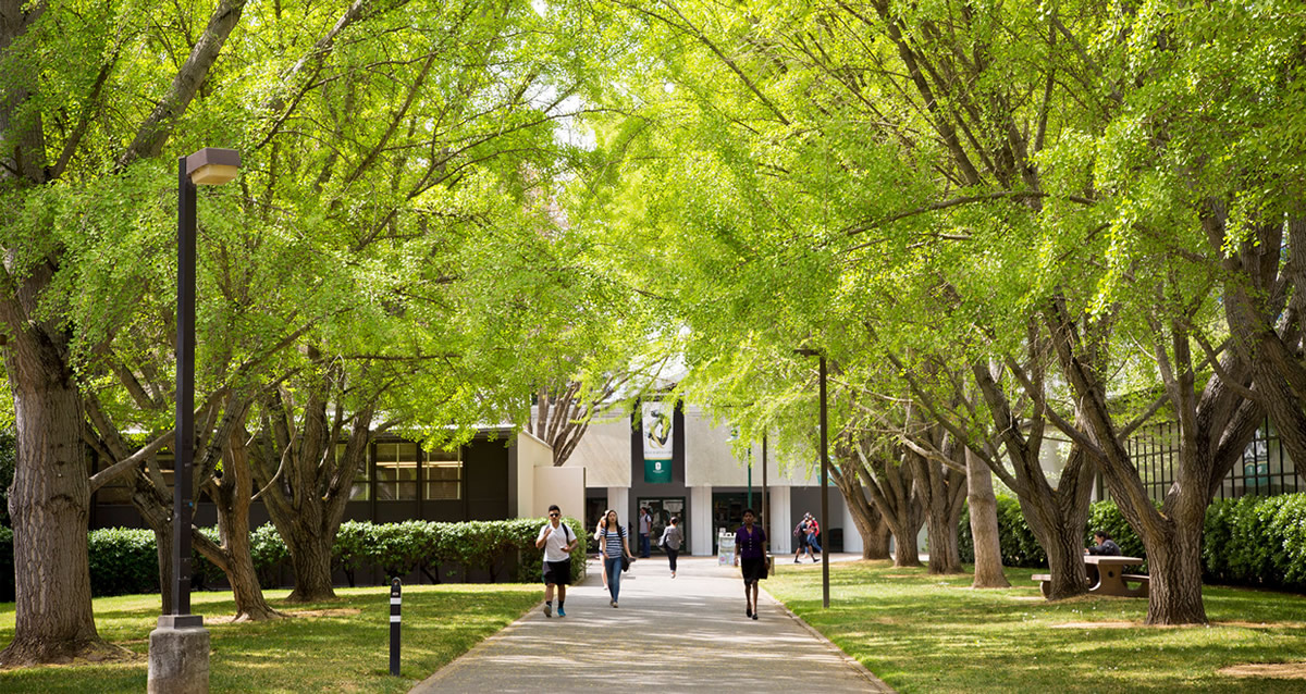 カリフォルニア州立大学サクラメント校