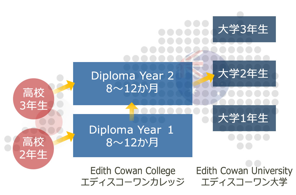 高校からカレッジ大学へのパスウェイ