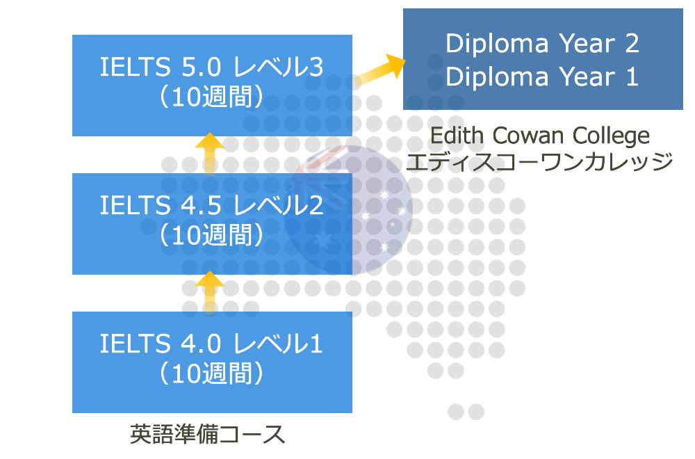 英語準備コース