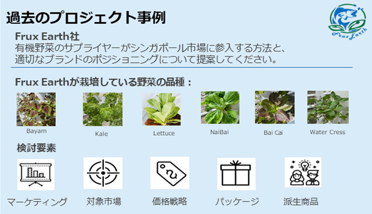 過去のプロジェクト事例