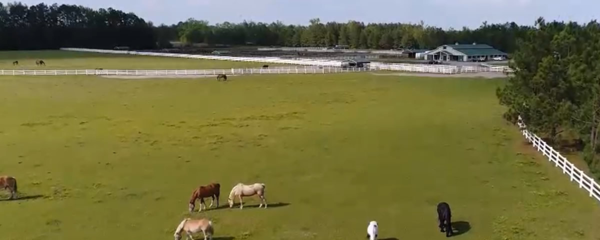 留学データ