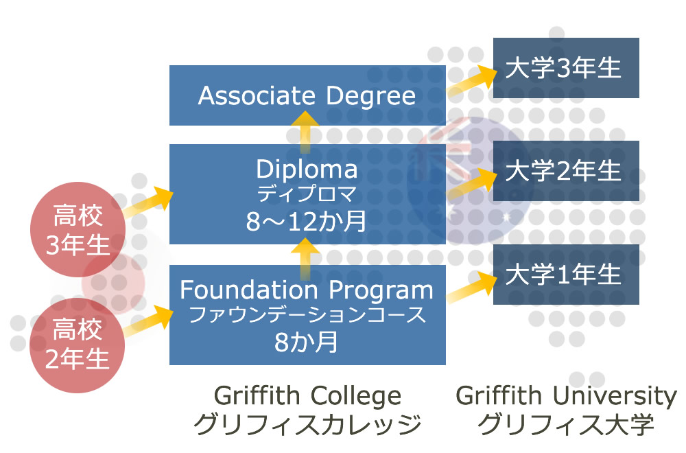 高校からカレッジ大学へのパスウェイ