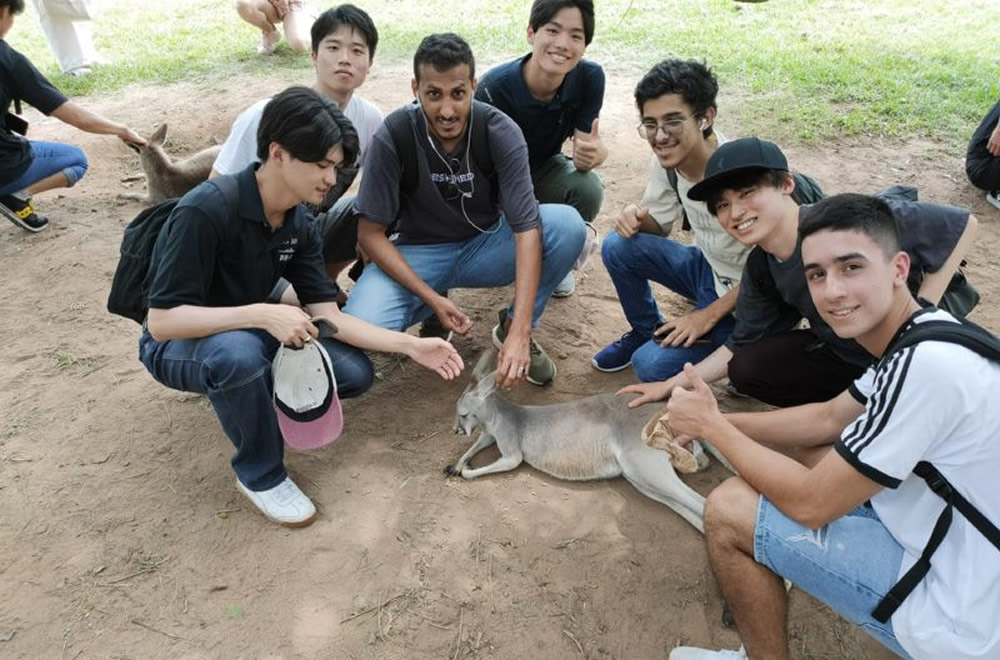 カンガルー