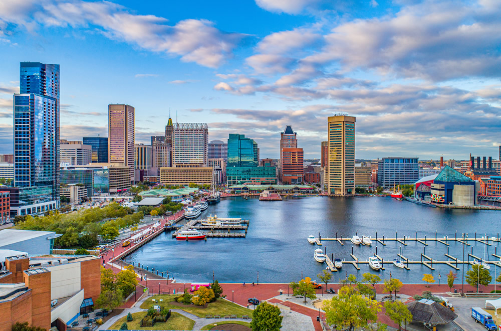 アメリカ インターンシップ