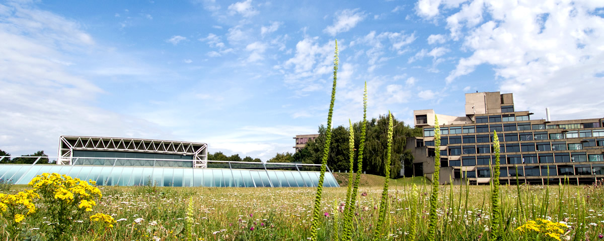 University of East Anglia