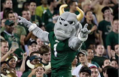 USF