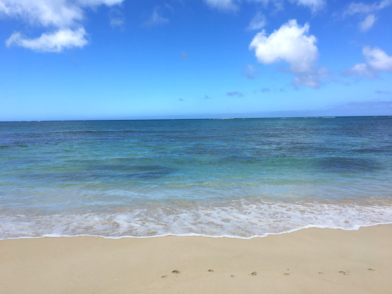 ハワイの海