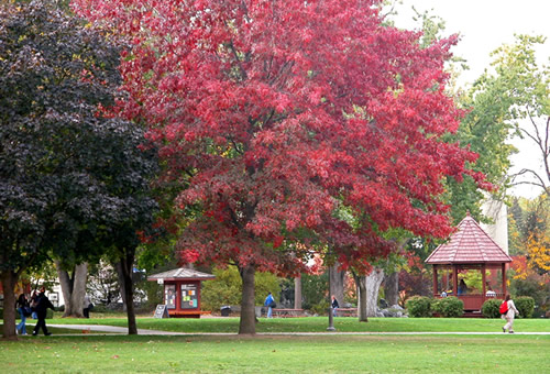 Lewis-Clark State College