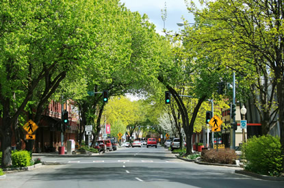 Downtown Lewiston