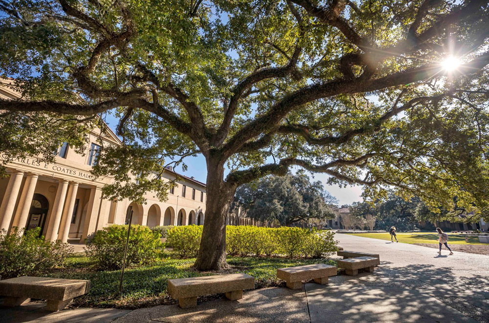 Louisiana State University