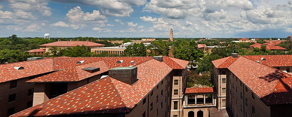 LSU