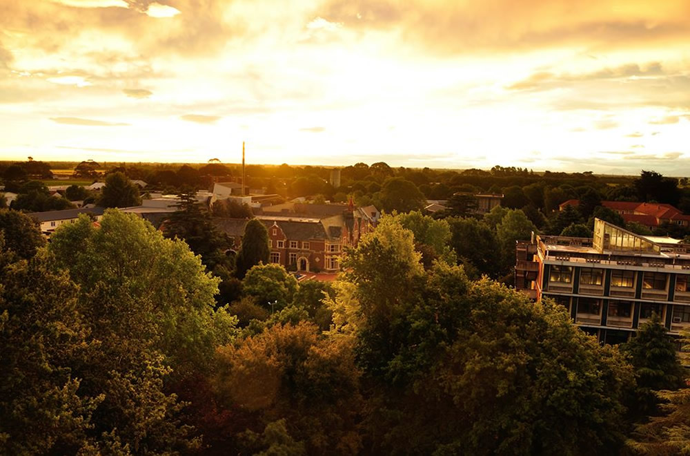 Lincoln University