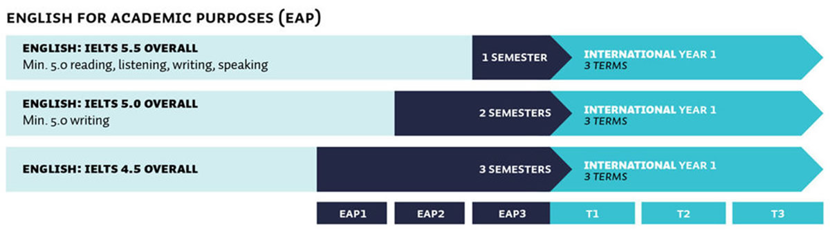 1年次入学者向けパスウェイ（EAP）