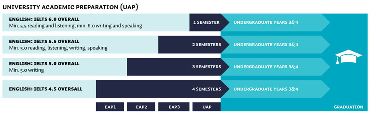 3年次編入学者向けパスウェイ（UAP）