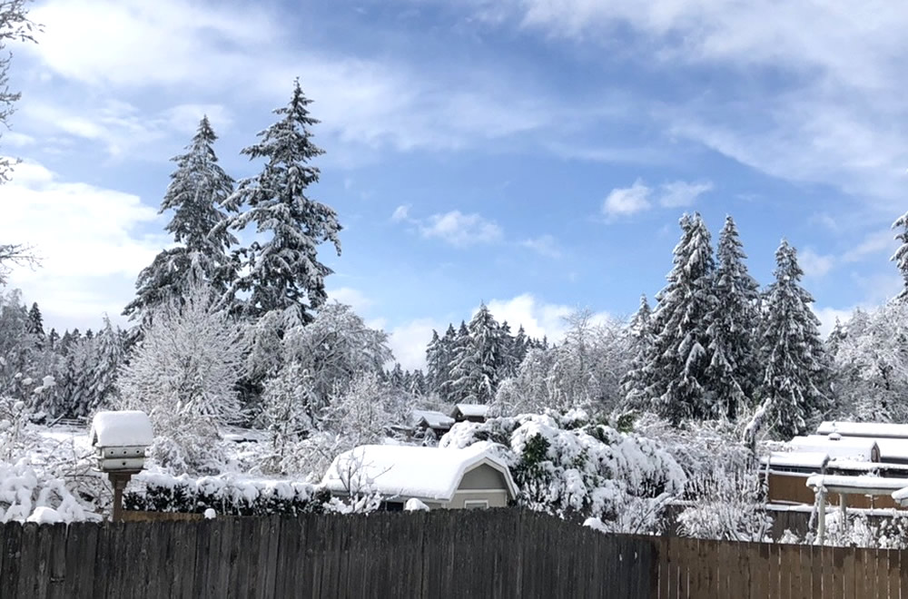 数年ぶりの大雪だった時の家からの写真