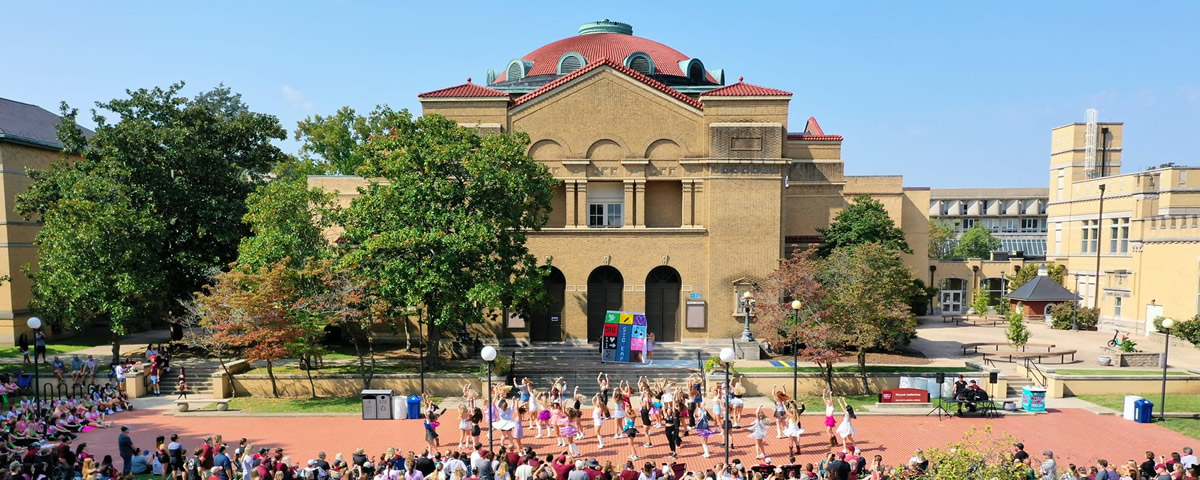 南イリノイ大学