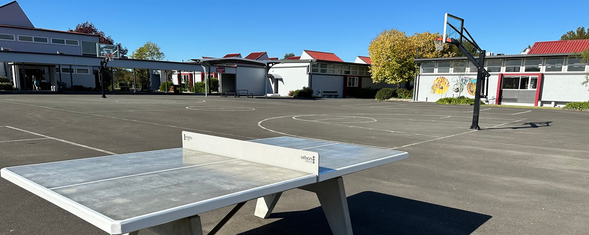 タマテアカレッジ Tamatea College