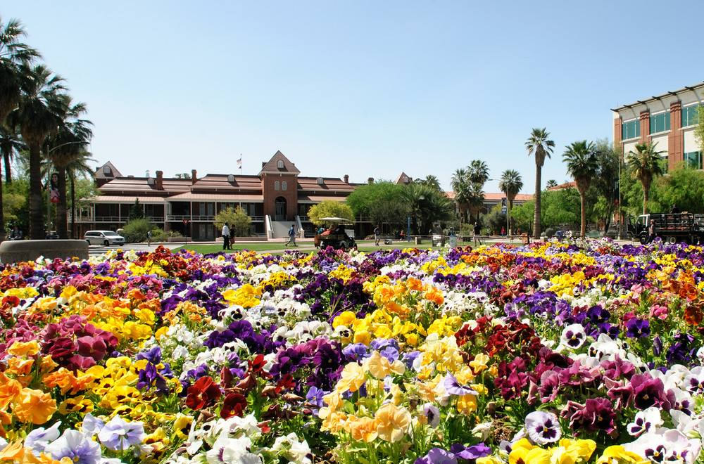 University of Arizona