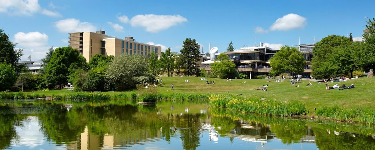 バース大学