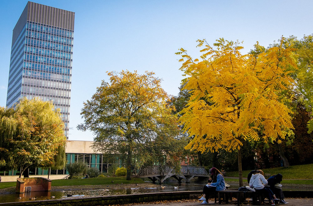 University of Sheffield