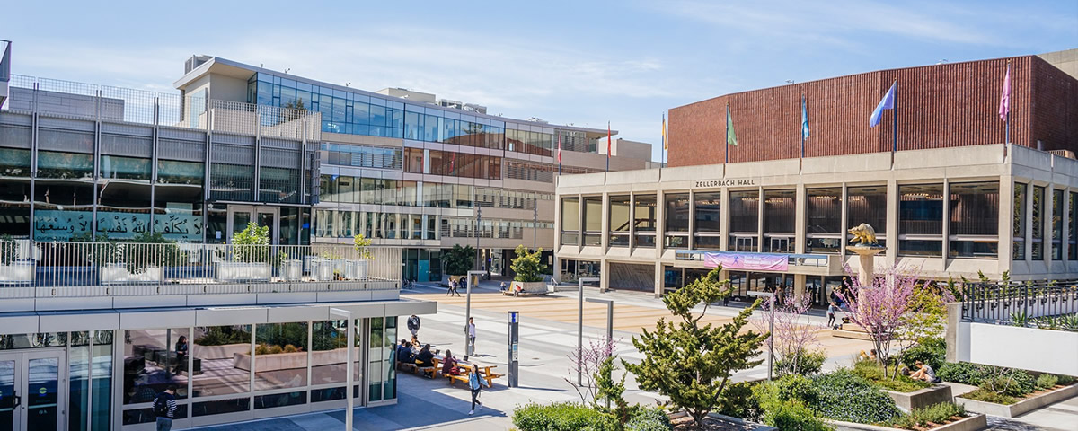 Berkeley Physics International Education Program