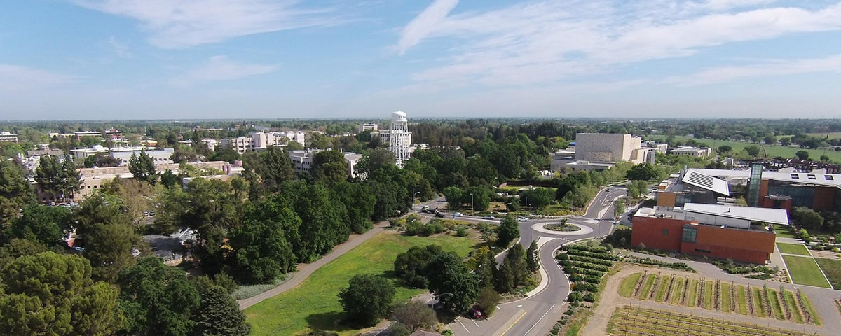 カリフォルニア大学デービス校