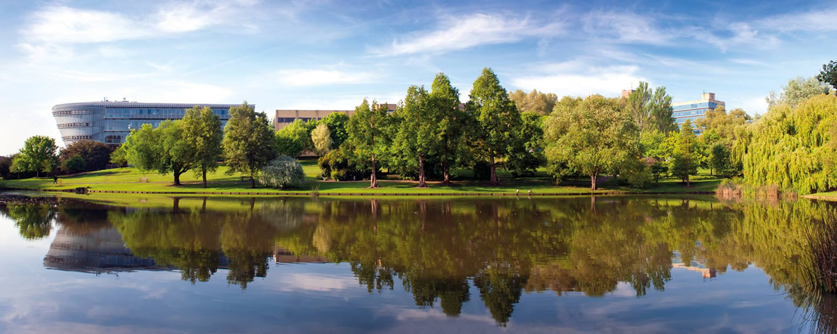 サリー大学