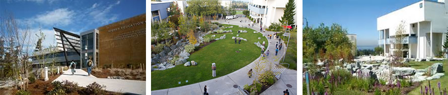 Highline College(ハイラインカレッジ)