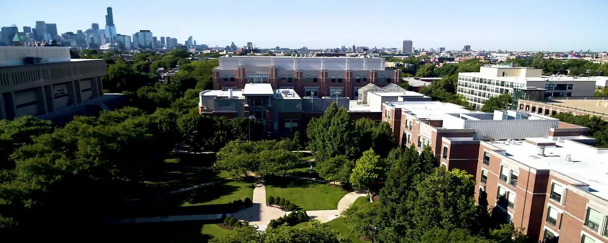デポール大学