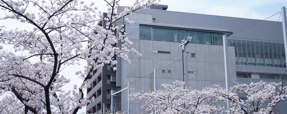 レイクランド大学ジャパン