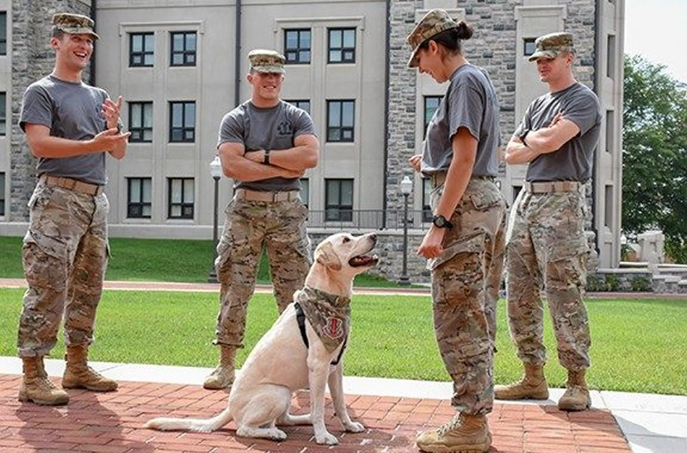 ROTC(予備役将校訓練課程)