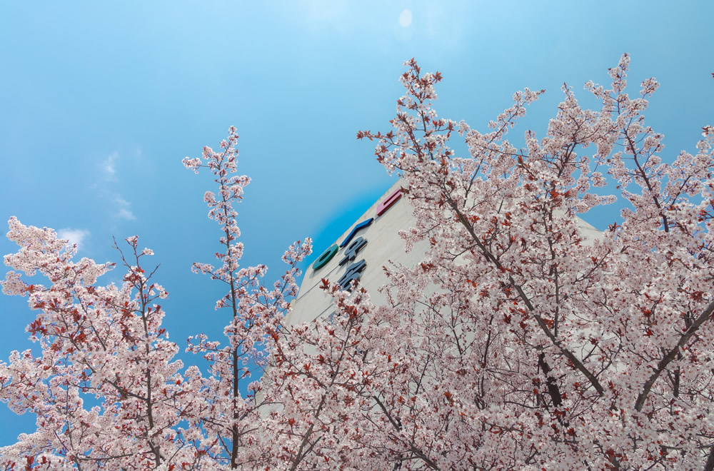 春のウソン大学