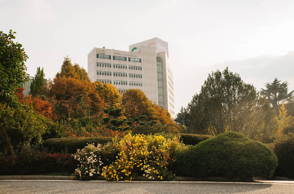 大学ランキング 