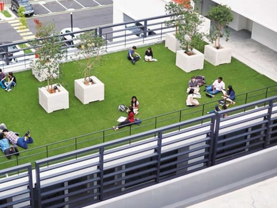 ヘルプ大学