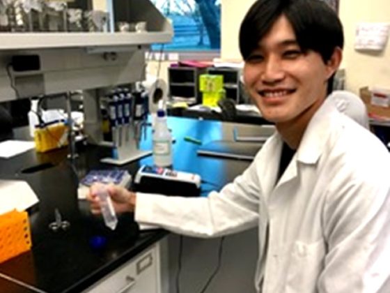 ニューヨーク州立大学（SUNY）