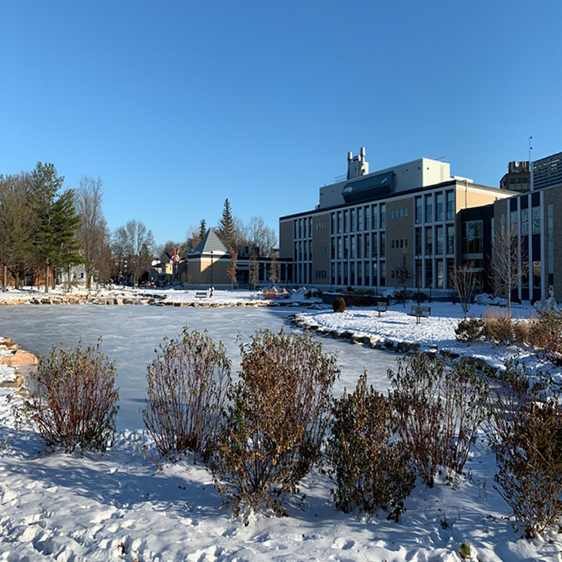 ニューヨーク州立大学（SUNY）