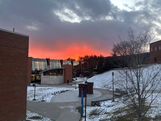 ニューヨーク州立大学（SUNY）