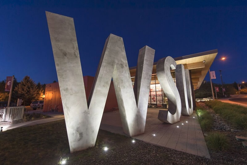 WSU